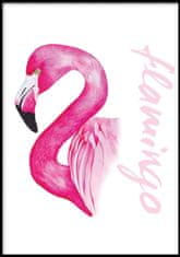 FLHF Plakat Flamingo bela DecoKing