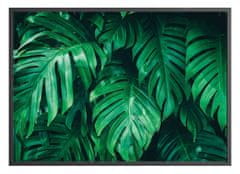 FLHF Monstera zeleni plakat DecoKing