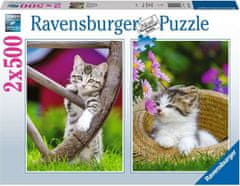 Ravensburger Puzzle Mačke na podeželju 2x500 kosov