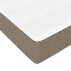 Vidaxl Box spring postelja z vzmetnico taupe 120x200 cm blago