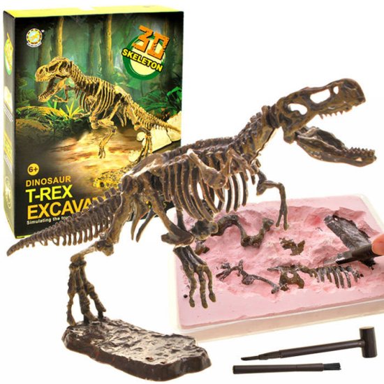 Toys T-REX 3D komplet za izkopavanje okostja ZA1777 A