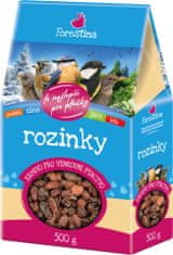 Forestina Rozine za zunanje ptice 500g