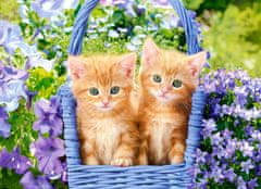 Castorland Puzzle Ginger Kittens 60 kosov