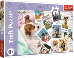 Trefl Puzzle Počitniške fotografije 300 kosov