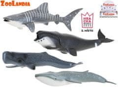 Zoolandia morske živali 22,5-28 cm