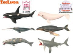 Zoolandia morske živali 18-26 cm