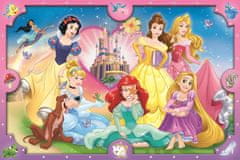 Trefl Puzzle Super Shape XL Disney Princesses: Pink World 160 kosov