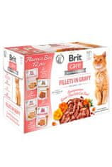Brit Care Cat Fillets Gravy Flavour škatla 4*3psc (12*85g)
