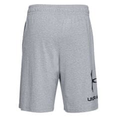 Under Armour Hlače siva 168 - 172 cm/XS Sportstyle Cotton Logo