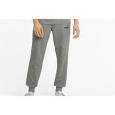 Puma Hlače obutev za trening siva 176 - 181 cm/M Ess Logo Pants TR CL