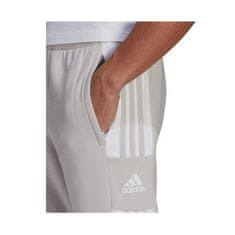 Adidas Hlače siva 188 - 193 cm/XXL Squadra 21