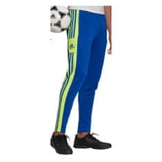 Adidas Hlače obutev za trening modra 158 - 163 cm/XS Squadra 21 Training