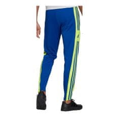 Adidas Hlače obutev za trening modra 158 - 163 cm/XS Squadra 21 Training