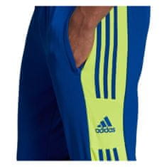 Adidas Hlače obutev za trening modra 158 - 163 cm/XS Squadra 21 Training