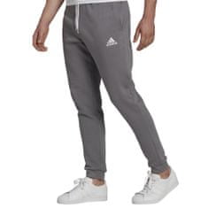 Adidas Hlače siva 164 - 169 cm/S Entrada 22