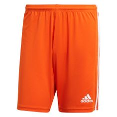 Adidas Hlače obutev za trening rdeča 176 - 181 cm/L Squadra 21