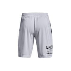 Under Armour Hlače siva 178 - 182 cm/M Tech Graphic WM Shorts