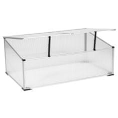 nabbi Vrtni rastlinjak (rastlinjak) Glassteam 100x60x40 cm - prozoren