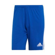 Adidas Hlače obutev za trening modra 158 - 163 cm/XS Squadra 21