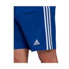 Adidas Hlače obutev za trening modra 158 - 163 cm/XS Squadra 21