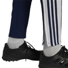 Adidas Hlače obutev za trening 164 - 169 cm/S Squadra 21