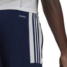 Adidas Hlače obutev za trening 164 - 169 cm/S Squadra 21