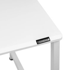 Noah Računalniška miza na kovinskem okvirju industrijska 120 x 60 cm bela