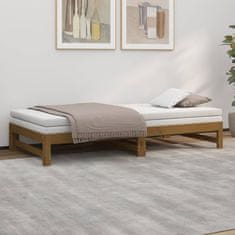 Vidaxl Izvlečna dnevna postelja medeno rjava 2x(80x200) cm borovina