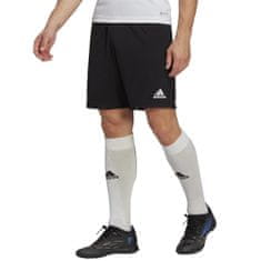 Adidas Hlače črna 188 - 193 cm/XXL Entrada 22