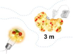 Aga LED Luči Žarnica z dekoracijo 3 m 10 LED Topla bela