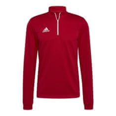 Adidas Športni pulover 194 - 199 cm/3XL Entrada 22