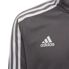 Adidas Športni pulover 171 - 176 cm/XL Tiro 21