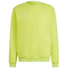 Adidas Športni pulover 176 - 181 cm/L Entrada 22