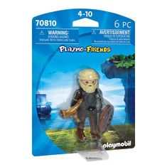 Playmobil VIKING 70810, VIKING 70810