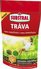 Substral Samoporjavitvena travna mešanica - regenerativna 250g