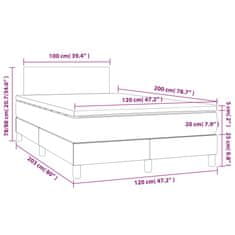 Vidaxl Box spring postelja z vzmetnico temno siva 120x200 cm žamet