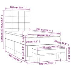 Vidaxl Box spring postelja z vzmetnico svetlo siva 100x200 cm žamet