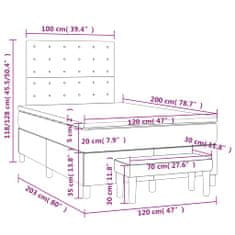 Vidaxl Box spring postelja z vzmetnico svetlo siva 120x200 cm žamet