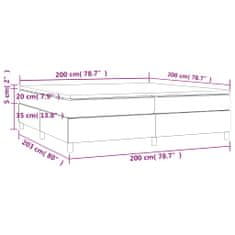 Vidaxl Box spring postelja z vzmetnico svetlo siva 200x200 cm blago