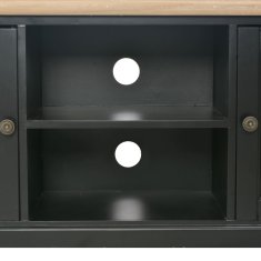 Vidaxl TV omarica iz lesa 120x30x40 cm črna