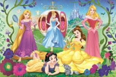 Trefl Glitter Glitter Puzzle v Disneyjevem kovčku: Srečne princese 70 kosov