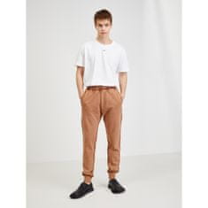 Diesel Trenirka P-TARY-DOV-PE PANTALONI S