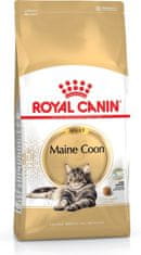 Royal Canin Royal Canin FBN Maine Coon Adult - suha hrana za odrasle mačke - 4kg