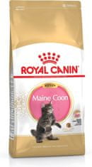 Royal Canin ROYAL CANIN Maine Coon Kitten - suha hrana za mačke - 4 kg