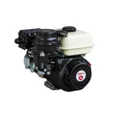 Zanetti Motori Bencinski motor ZBM 210 6,7 KM