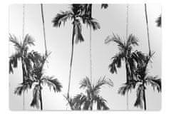 Decormat Podloga za zaščito tal Black and white palm trees 120x90 cm 