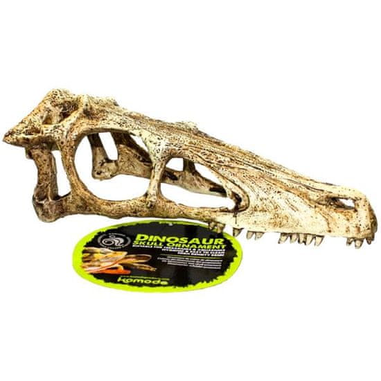 KOMODO Umetna dekoracija - lobanja Raptor L 24x8x9cm