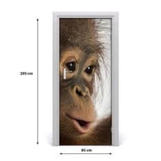 tulup.si Nalepka na vratih Mlad orangutan 85x205 cm