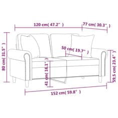 Vidaxl Kavč dvosed z okrasnimi blazinami svetlo siv 120 cm žamet