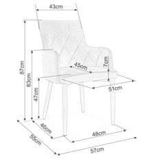 CASARREDO Oblazinjen jedilni stol RISA siva